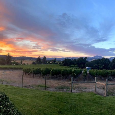 Alexander Valley Retreat 希尔兹堡 外观 照片