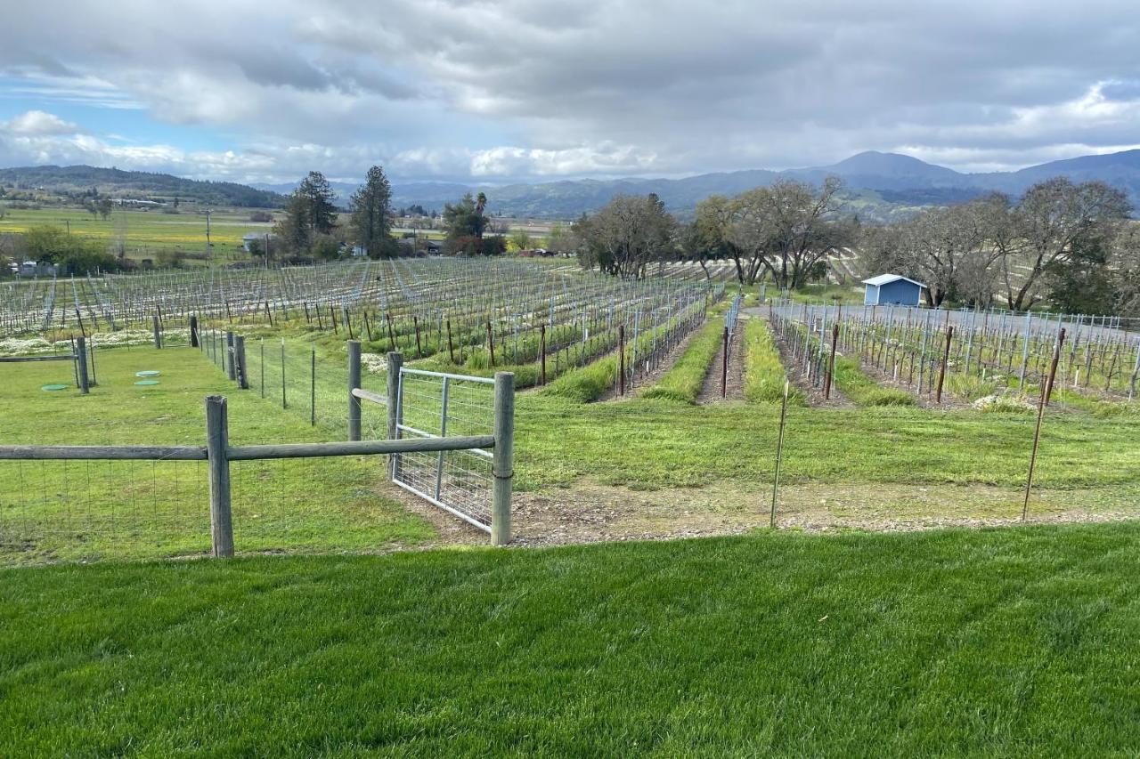 Alexander Valley Retreat 希尔兹堡 外观 照片